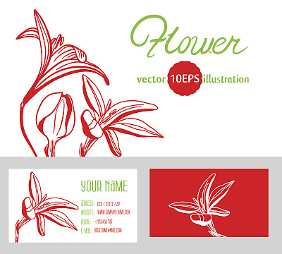 模板以红百合为背景。向量10每股收益图片下载