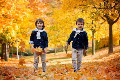 快乐的孩子们，小男孩们，在公园里玩着树叶图片下载