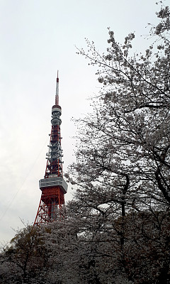 东京之旅图片下载