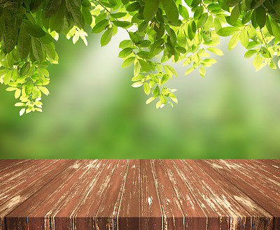 空木桌面与绿色树叶的背景。产品展示图片下载