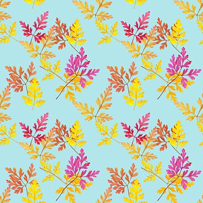 叶天竺葵,天竺葵属植物。花型纹理无缝。花背景，照片拼贴图片下载