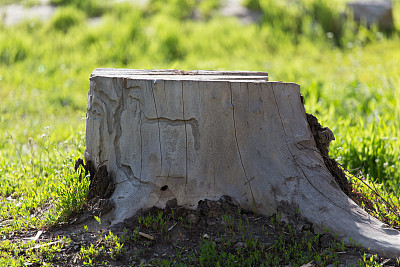 游历大自然图片下载