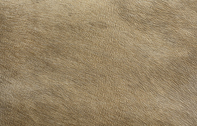 仿皮革的装饰织物。图片下载