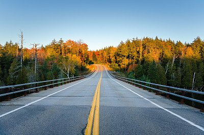 蓝天下的秋日森林路图片下载
