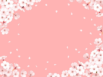 樱花，樱花框架图片下载