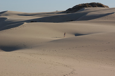 沙丘沃克图片下载