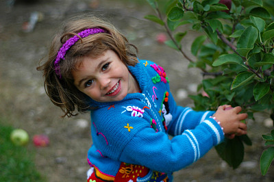 女孩摘苹果I图片下载