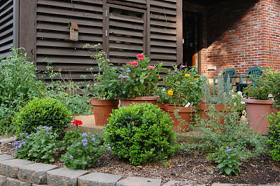 天井花园图片下载