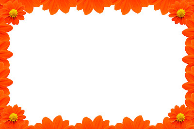 橙花框架图片下载