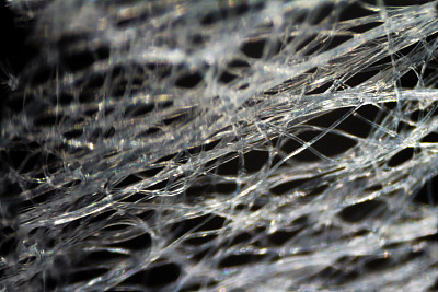 在显微镜下湿擦织物图片下载