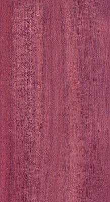 雪松心木纹理系列图片下载