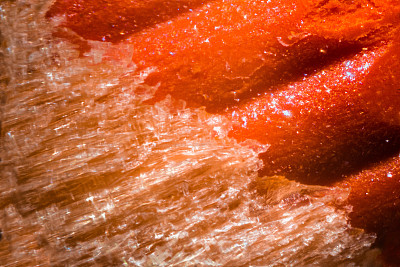 显微镜下的橙色铅笔尖图片下载