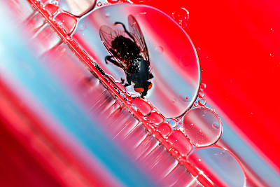 生活在泡沫中图片下载