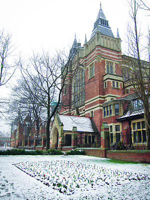 斯诺在大学里图片下载