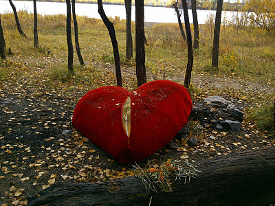 在一个秋季公园的河岸上，留下了一个大的、撕裂的、心形的垫子。图片下载