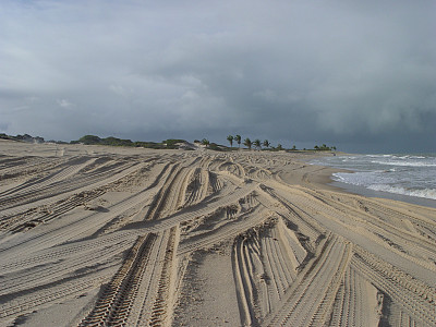 巴西纳塔尔沙地上马车的足迹图片下载