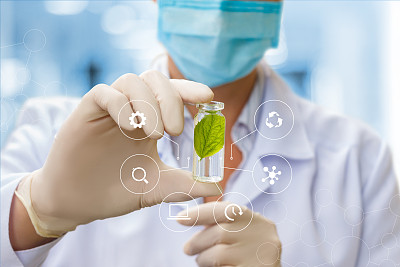 专家手中的一份植物样本。图片下载