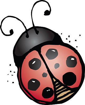 夫人错误图片下载