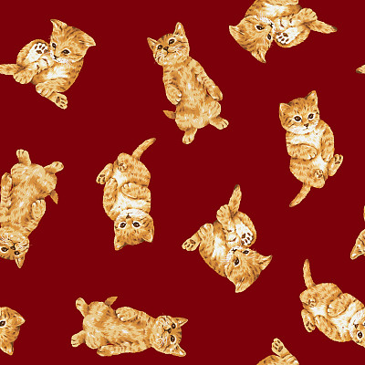 猫的模式图片下载