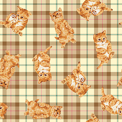 猫的模式图片下载