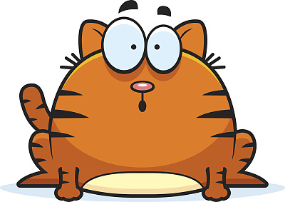 惊讶的小猫图片下载