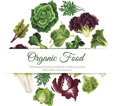 绿叶沙拉蔬菜矢量海报图片下载