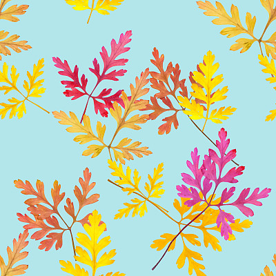 叶天竺葵,天竺葵属植物。花型纹理无缝。花背景，照片拼贴图片下载