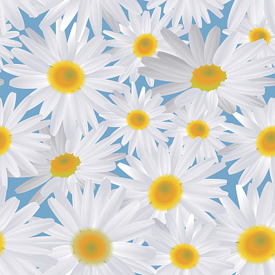 白色的雏菊花在蓝色上。无缝的背景图片下载