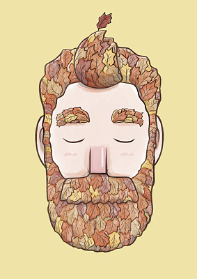 秋叶大胡子图片下载