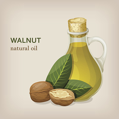 核桃油和坚果。矢量插图。图片下载