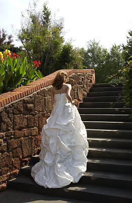 新娘上楼梯图片下载