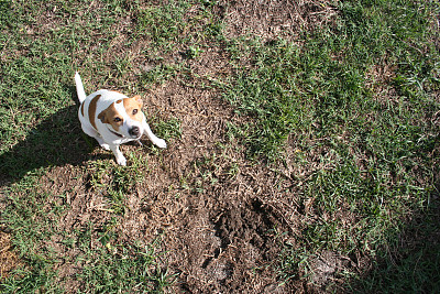 大千世界里的小小图片下载