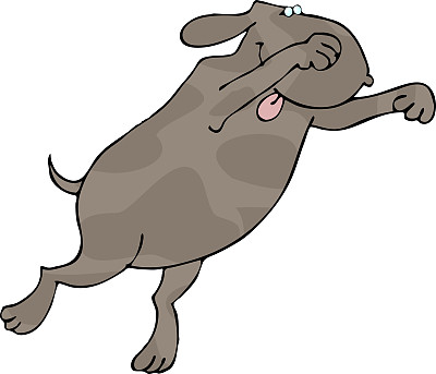 突袭的狗图片下载