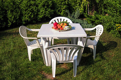 配有水果和鲜花的野餐菜图片下载