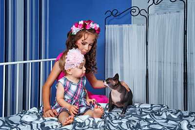 可爱的小妹妹和斯芬克斯猫图片下载