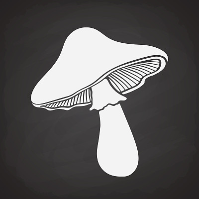 黑板上蘑菇的剪影素材图片