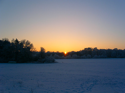 冬天太阳升起图片下载