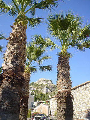 三个手掌图片下载