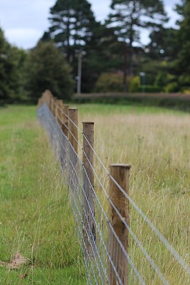 场地上的击剑图片下载