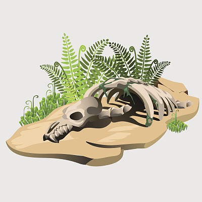 古代动物的化石骨架在石头上图片下载