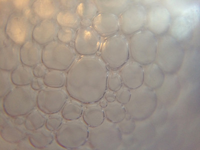 关闭泡沫图片下载