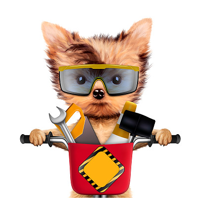 有趣的狗与建筑工具孤立在白色图片下载