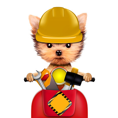有趣的狗与建筑工具孤立在白色图片下载