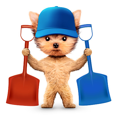 滑稽的狗与铲子孤立在白色图片下载