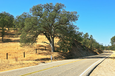 秋季的一天图片下载