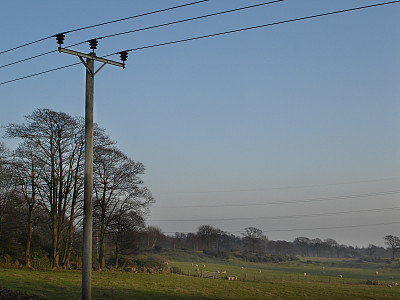 农田电线杆图片下载