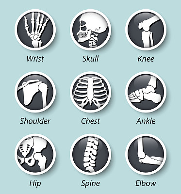 骨架系统图标与凸出的玻璃盖图片下载