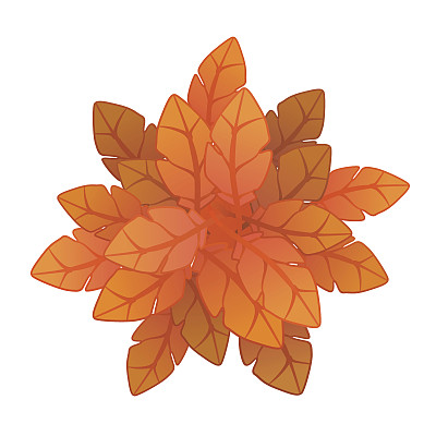 橙色植物或树，俯视图。矢量插图，孤立在白色上。图片下载