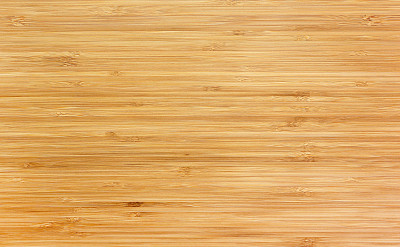 树林照片素材ID：169716226