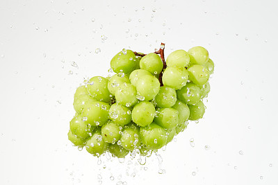 闪亮的马斯喀特，在白色图片下载